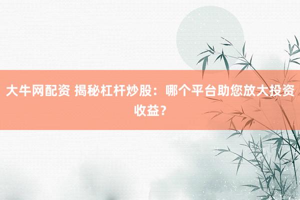 大牛网配资 揭秘杠杆炒股：哪个平台助您放大投资收益？