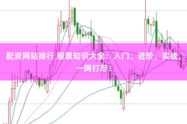 配资网站排行 股票知识大全：入门、进阶、实战，一网打尽！