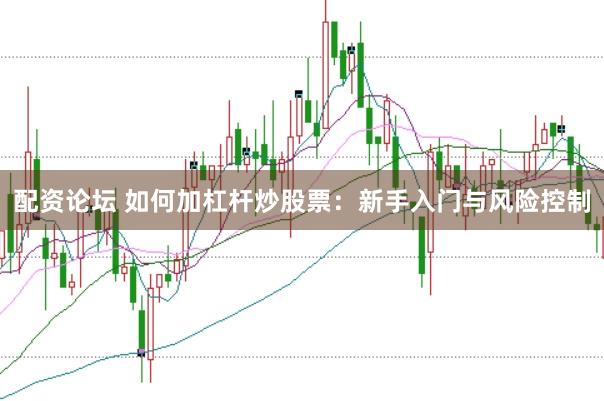 配资论坛 如何加杠杆炒股票：新手入门与风险控制