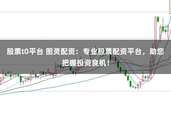 股票t0平台 图灵配资：专业股票配资平台，助您把握投资良机！