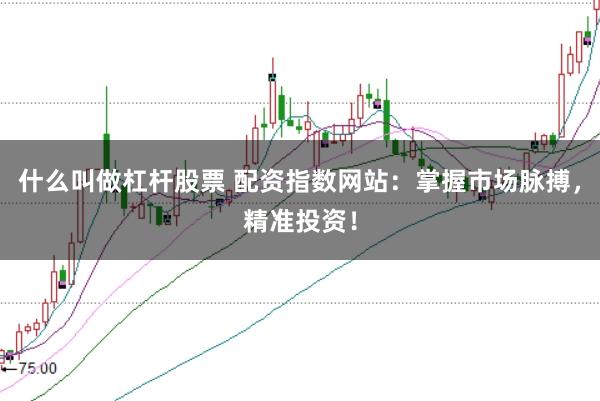 什么叫做杠杆股票 配资指数网站：掌握市场脉搏，精准投资！