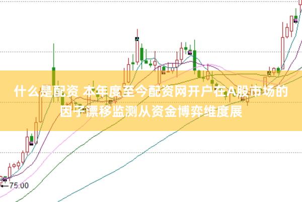 什么是配资 本年度至今配资网开户在A股市场的因子漂移监测从资金博弈维度展