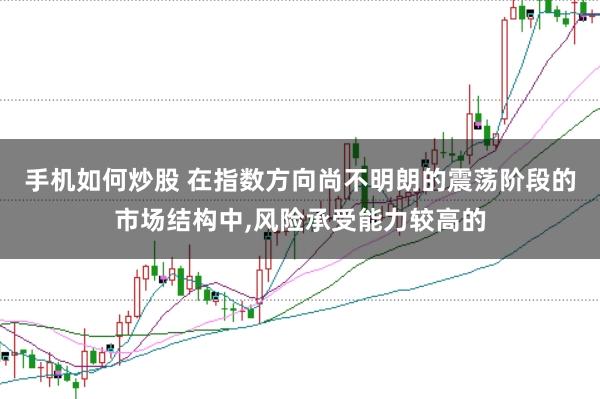 手机如何炒股 在指数方向尚不明朗的震荡阶段的市场结构中,风险承受能力较高的