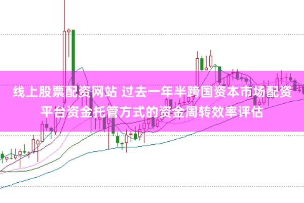 线上股票配资网站 过去一年半跨国资本市场配资平台资金托管方式的资金周转效率评估