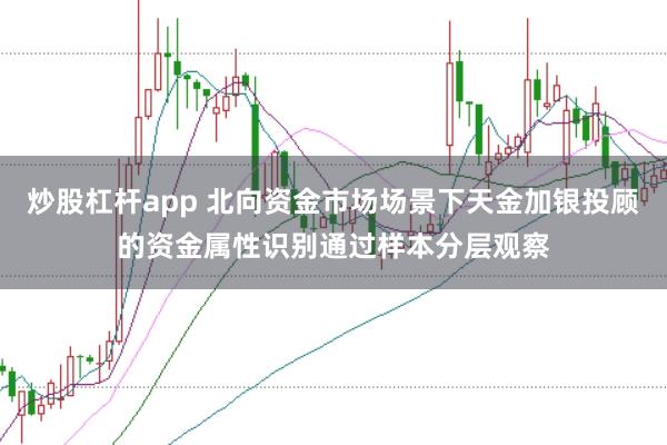 炒股杠杆app 北向资金市场场景下天金加银投顾的资金属性识别通过样本分层观察