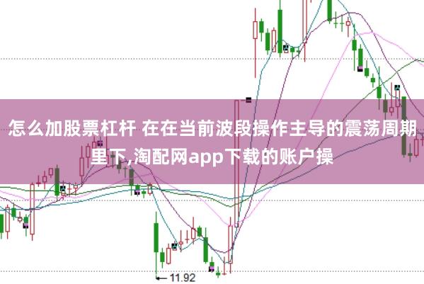 怎么加股票杠杆 在在当前波段操作主导的震荡周期里下,淘配网app下载的账户操