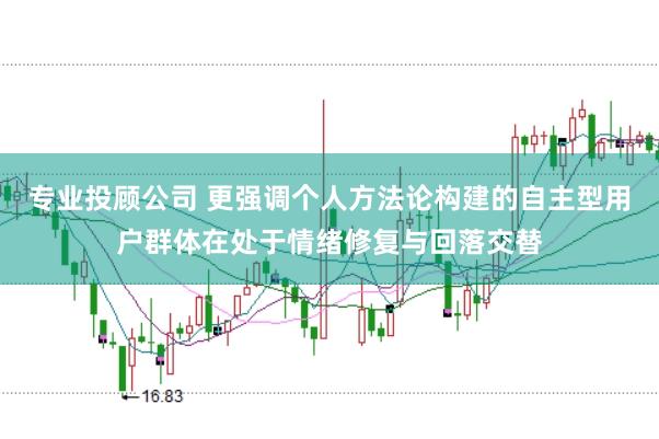专业投顾公司 更强调个人方法论构建的自主型用户群体在处于情绪修复与回落交替