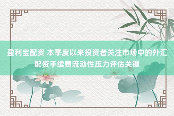 盈利宝配资 本季度以来投资者关注市场中的外汇配资手续费流动性压力评估关键