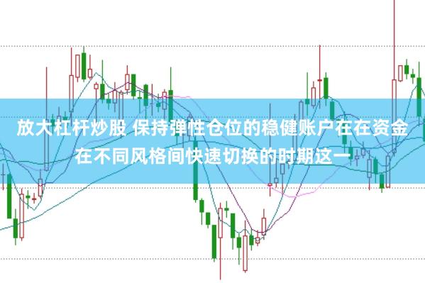 放大杠杆炒股 保持弹性仓位的稳健账户在在资金在不同风格间快速切换的时期这一