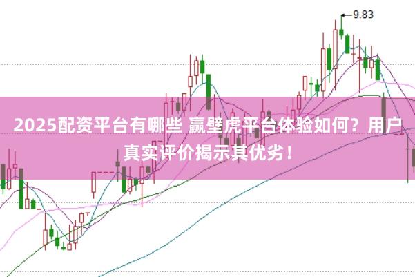 2025配资平台有哪些 赢壁虎平台体验如何？用户真实评价揭示其优劣！