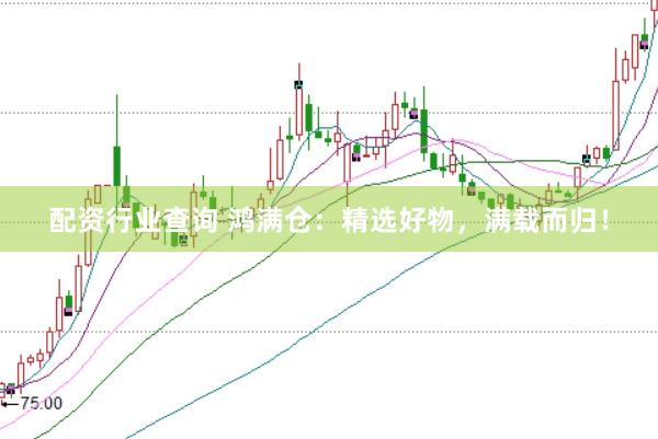 配资行业查询 鸿满仓：精选好物，满载而归！